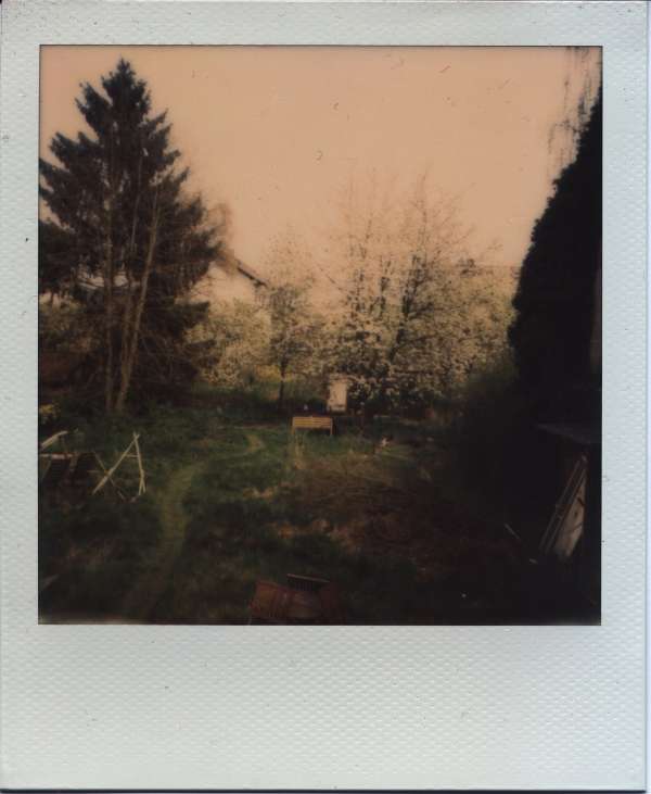 Polaroid Garten