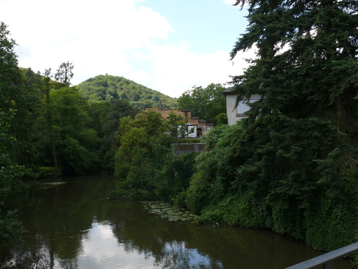 Blick über die Lahnseitenarmbrücke an der Robert-Koch-Straße